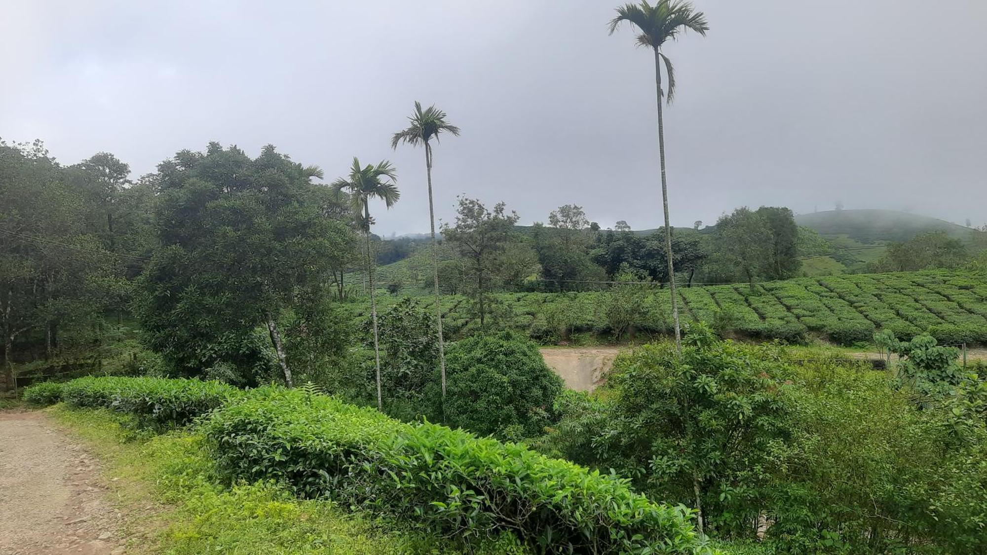 Paradise Meadows Vagamon